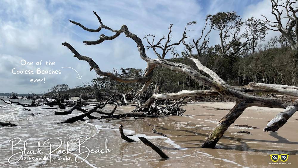 Black Rock Beach in Florida is One of the Coolest Beaches I've Toured so Far